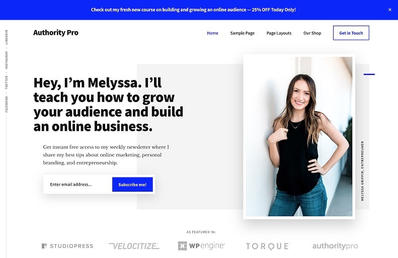 Authority Pro Theme Package_64436818b73cb.jpeg