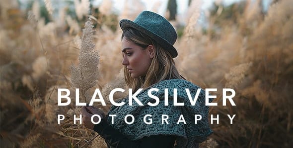Blacksilver | Tema de fotografia para WordPress_6443d4a796335.jpeg