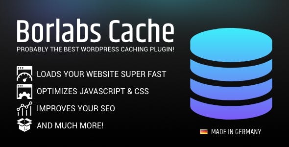 Borlabs Cache – WordPress Caching Plugin_6443d6346d2c9.jpeg