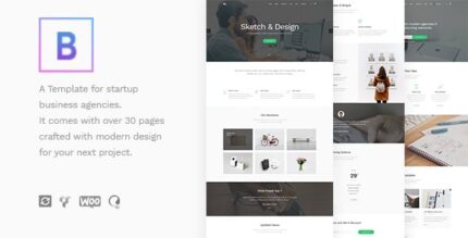BoTheme – Tema WordPress para Negócios de Inicialização
