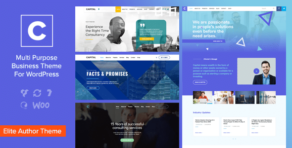 Capital – Tema WordPress de negócios multiuso_6443d8fc8a7a3.png