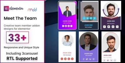 Conheça o addon team elementor