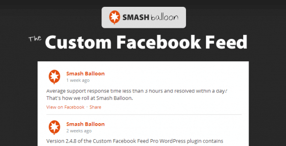 Custom Facebook Feed Pro Smash_6443e18e21586.png
