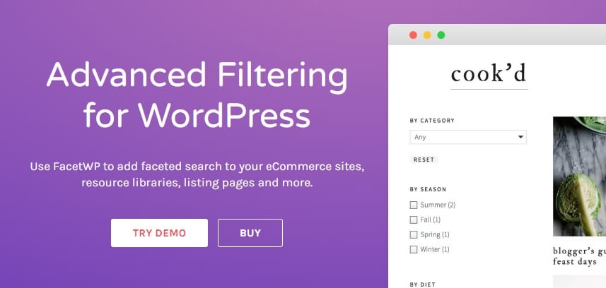FacetWP – Advanced Filtering + Addons_6444087fc0240.jpeg