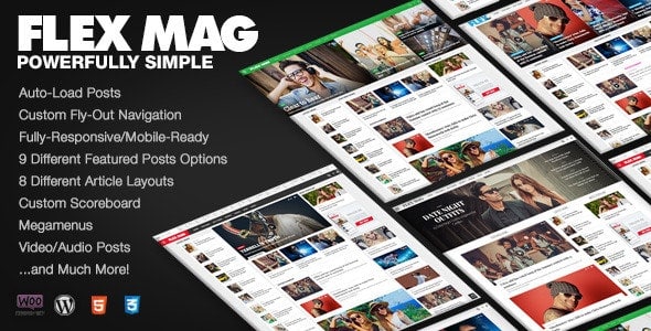 Flex Mag – Tema de notícias WordPress responsivo_64440ae8f1f3f.jpeg