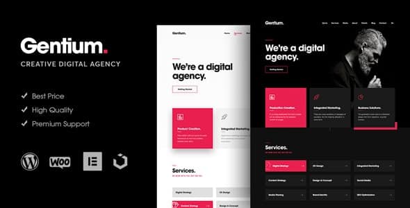 Gentium – um tema WordPress de agência digital criativa_64440eae9a1e3.jpeg