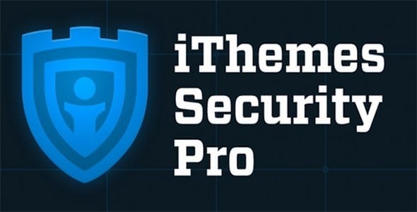 IThemes Security Pro_6444212a90e7f.jpeg