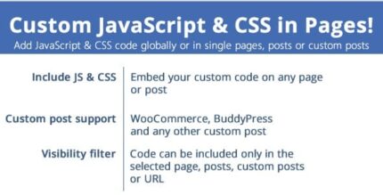 JavaScript e CSS personalizados em páginas!
