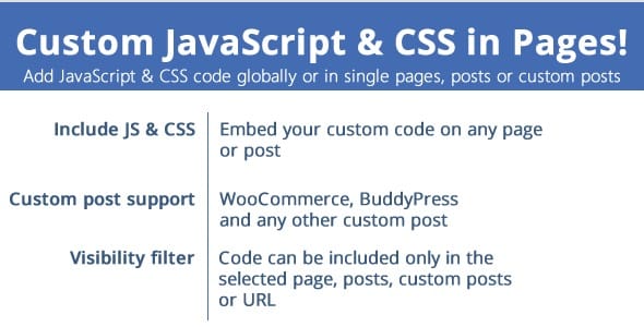JavaScript e CSS personalizados em páginas!_644421877cbcc.jpeg