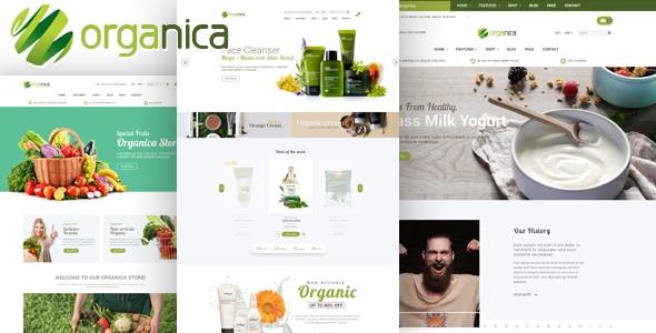 Organica – Orgânico, Beleza, Cosméticos Naturais, Alimentos, Farn e Eco WordPress Theme_64443d9d59738.jpeg