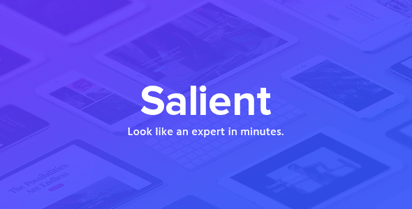 Salient – Responsive Multi-Purpose Theme_644453567efa1.png