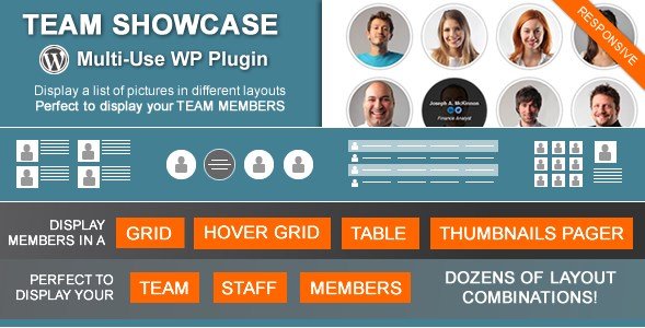 Team Showcase – Plugin WordPress_64445c11bb211.jpeg