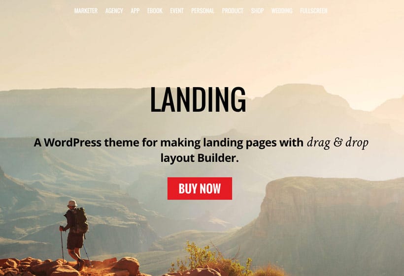 Themify Landing WordPress Theme_64445f3d7e391.jpeg