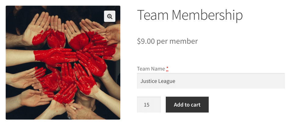 WooCommerce – equipes para assinaturas_64446a287cf80.png