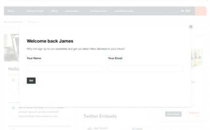 WooCommerce Splash Popup